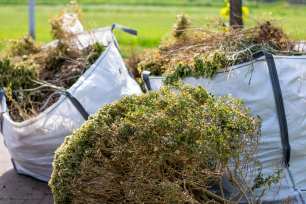 Best Local Junk Hauling  in Kent, OH